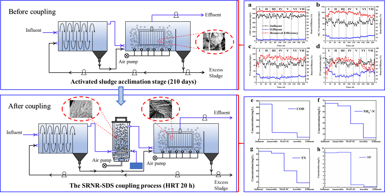 1669341687778717.png 文章配图.png