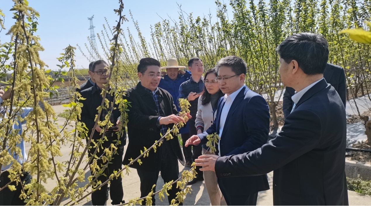 1681262915497510.jpg 图片4.jpg