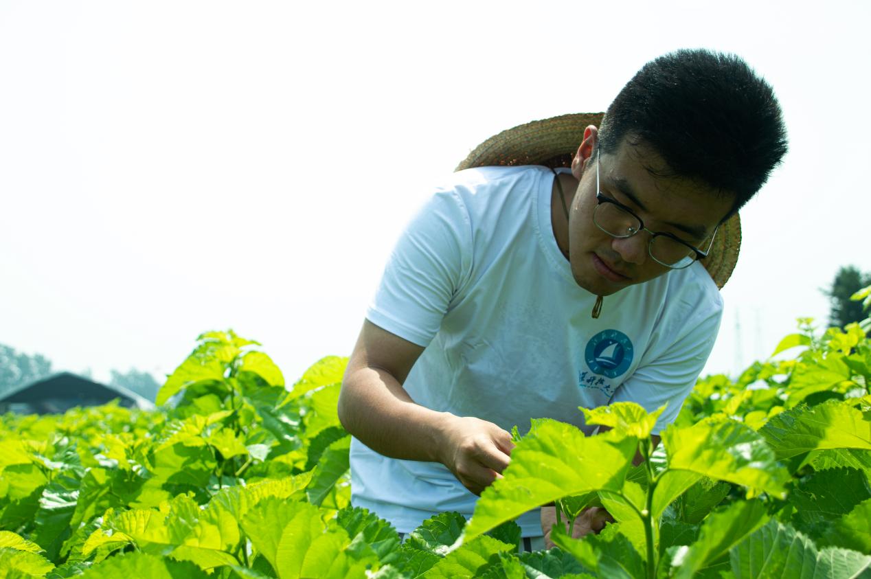 1640848681226447.jpg 图片3.jpg